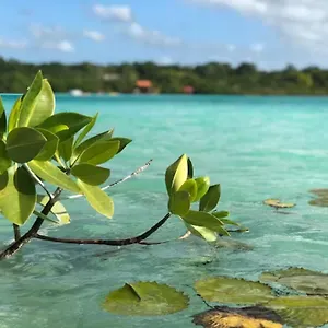Azul Xulha Pensión
